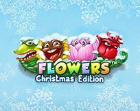 Flowers Christmas Edition